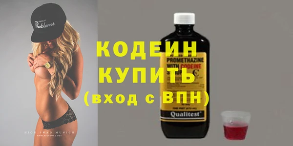 гашик Михайлов