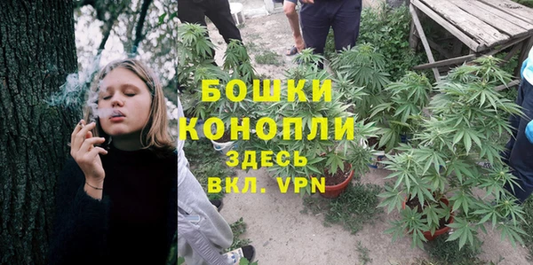 гашик Михайлов