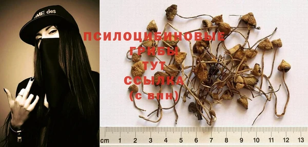 спиды Михайловка