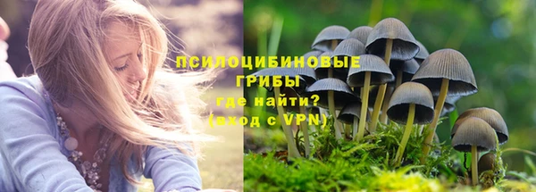 гашик Михайлов