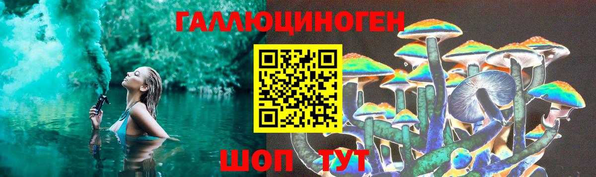 Псилоцибиновые грибы прущие грибы Дубна
