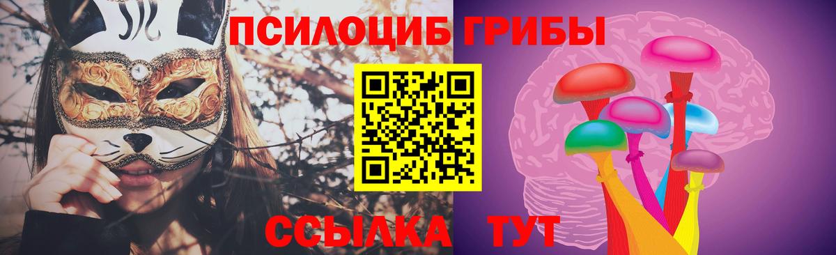 Дубна  Галлюциногенные грибы Psilocybine cubensis  Вход с VPN 